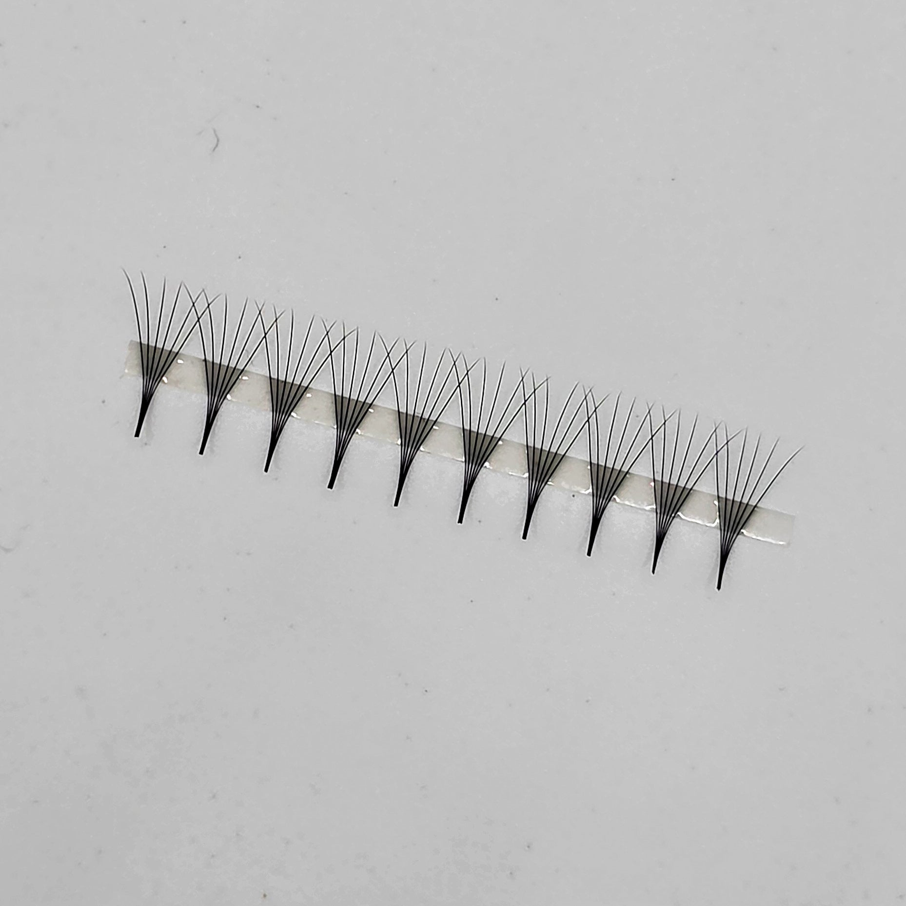 6D Rapid Flow Fans - 1000pc