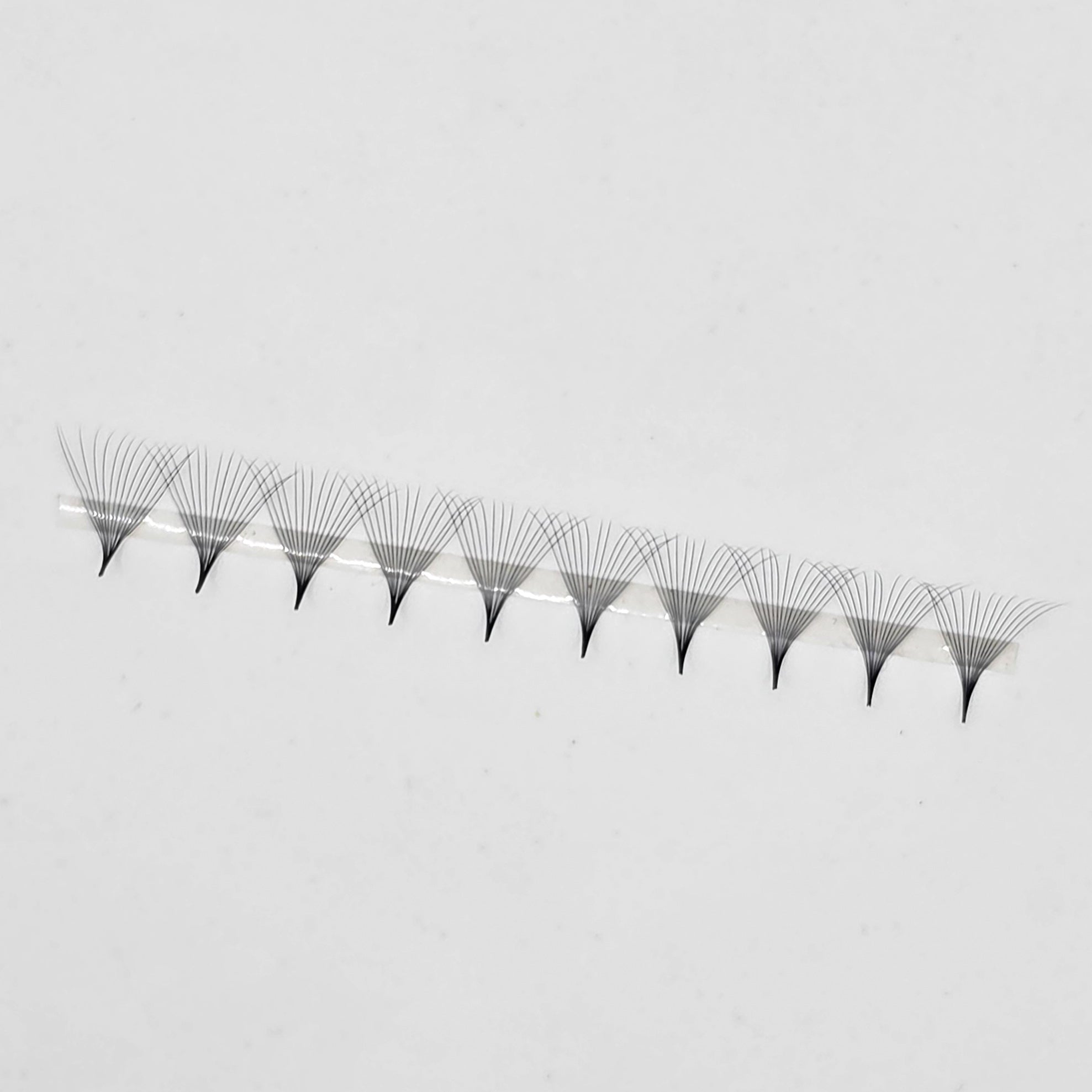 14D Rapid Flow Fans - 1000pc