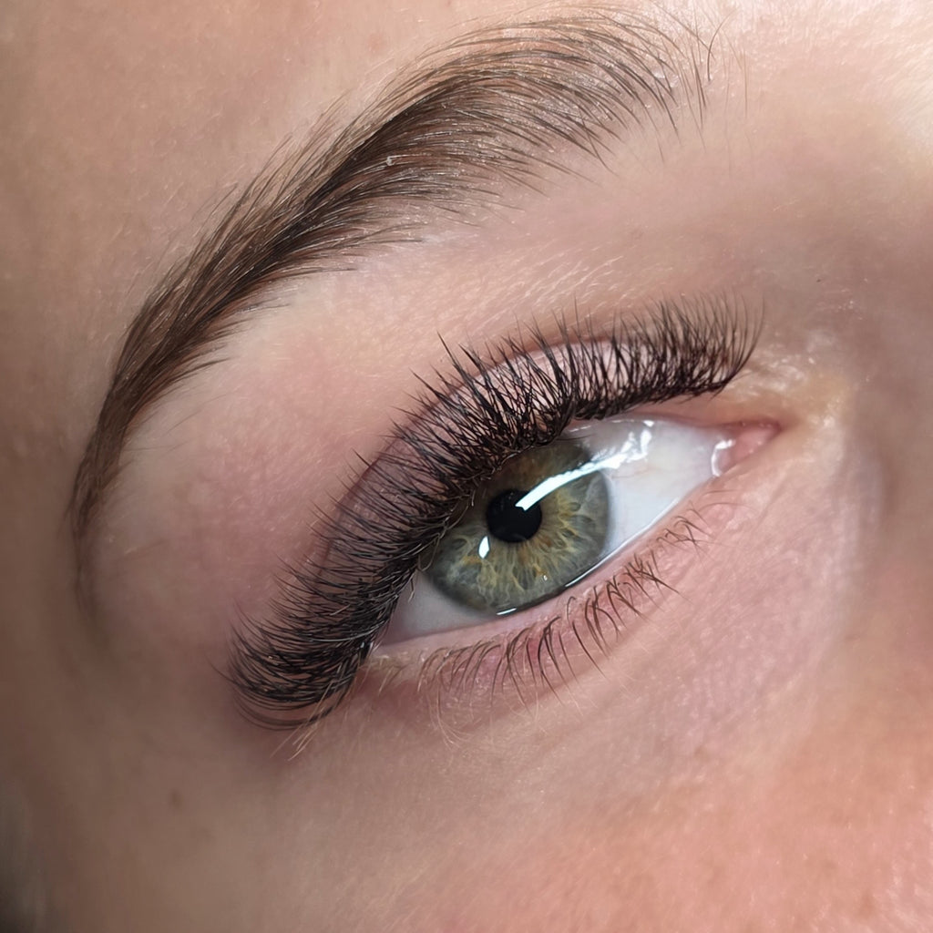 4D Premade Fans - Obsidian