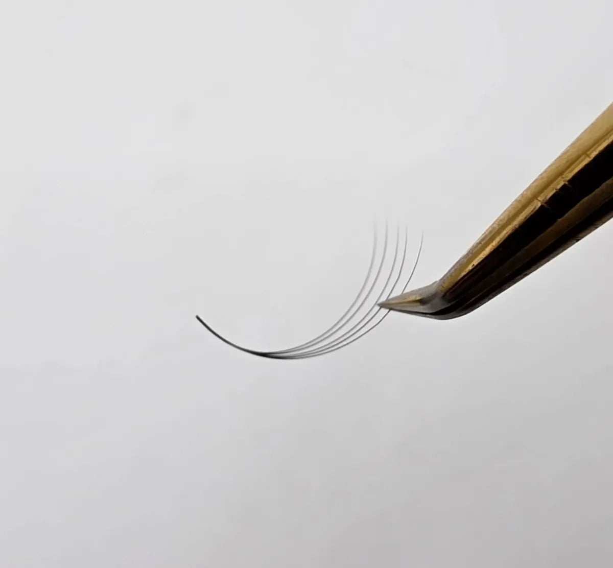 5D Premade Fans - Noir