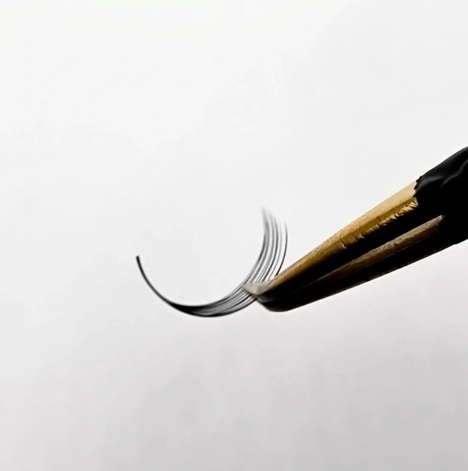 12D Premade Fans - Vortex