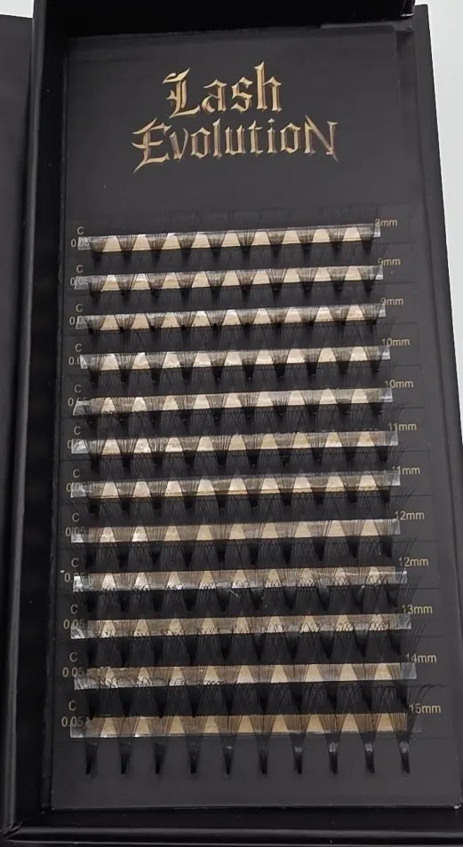 14D Premade Fans - Reign