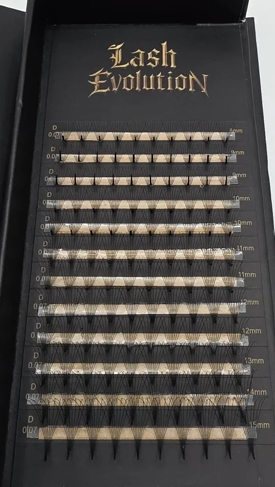 6D Premade Fans - Inferno