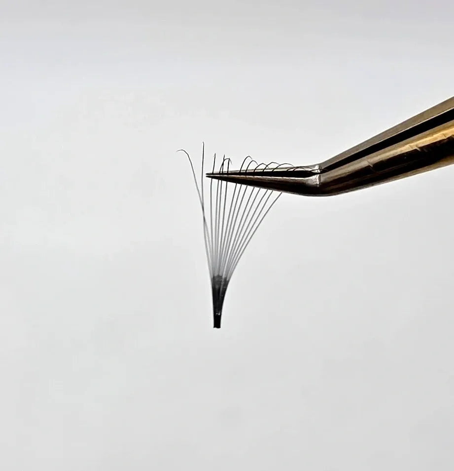 14D Premade Fans - Reign