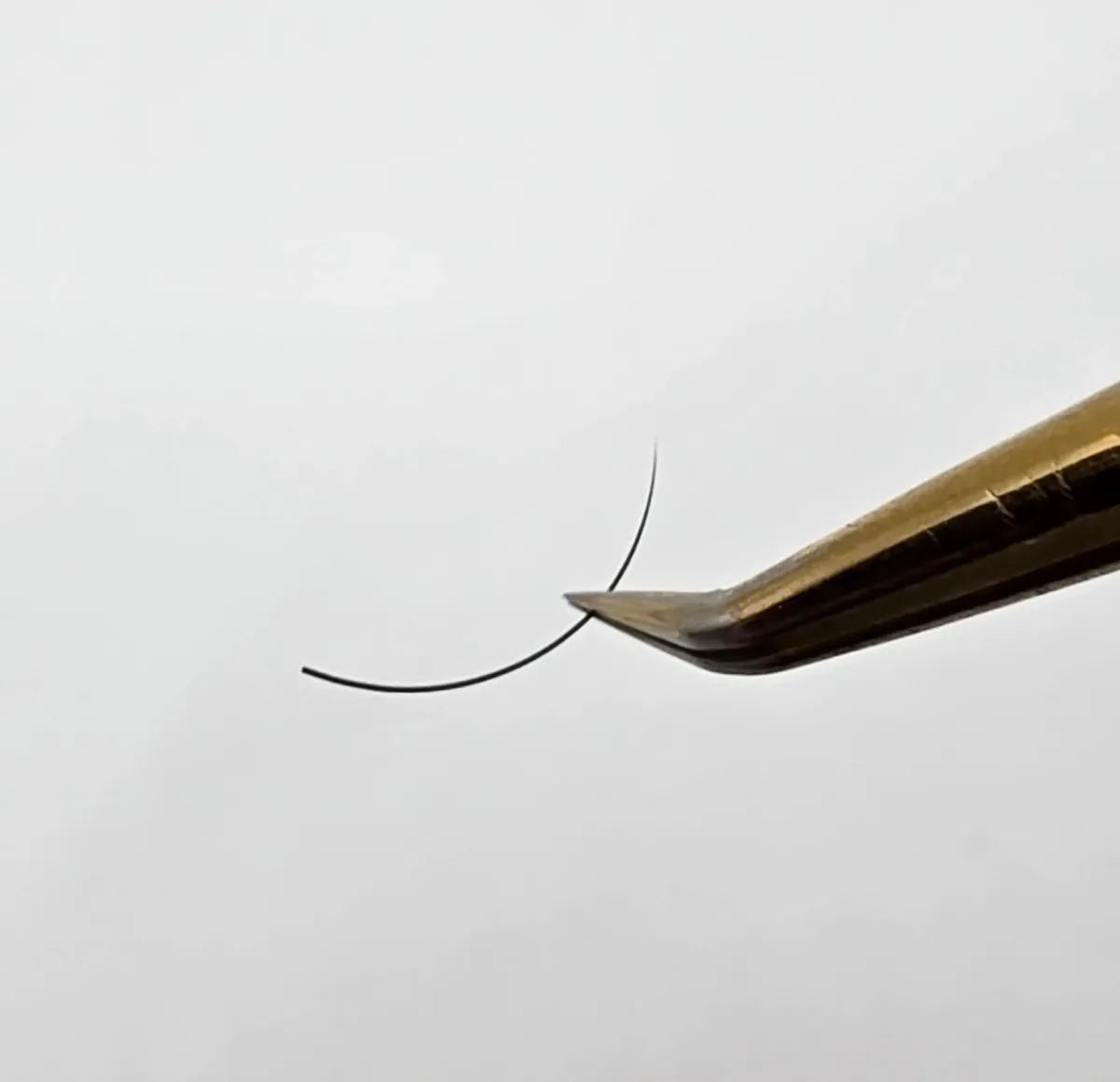 Classic Lash Extensions - Dominion