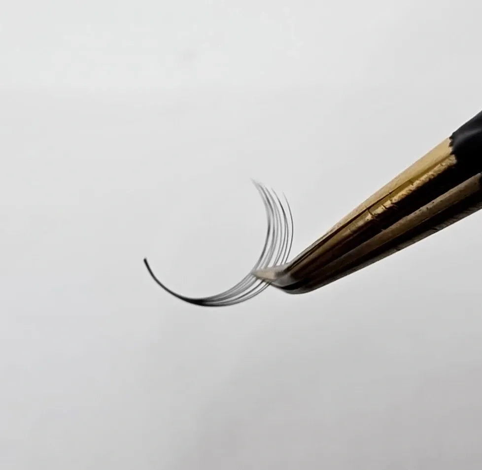 10D Premade Fans - Eclipse