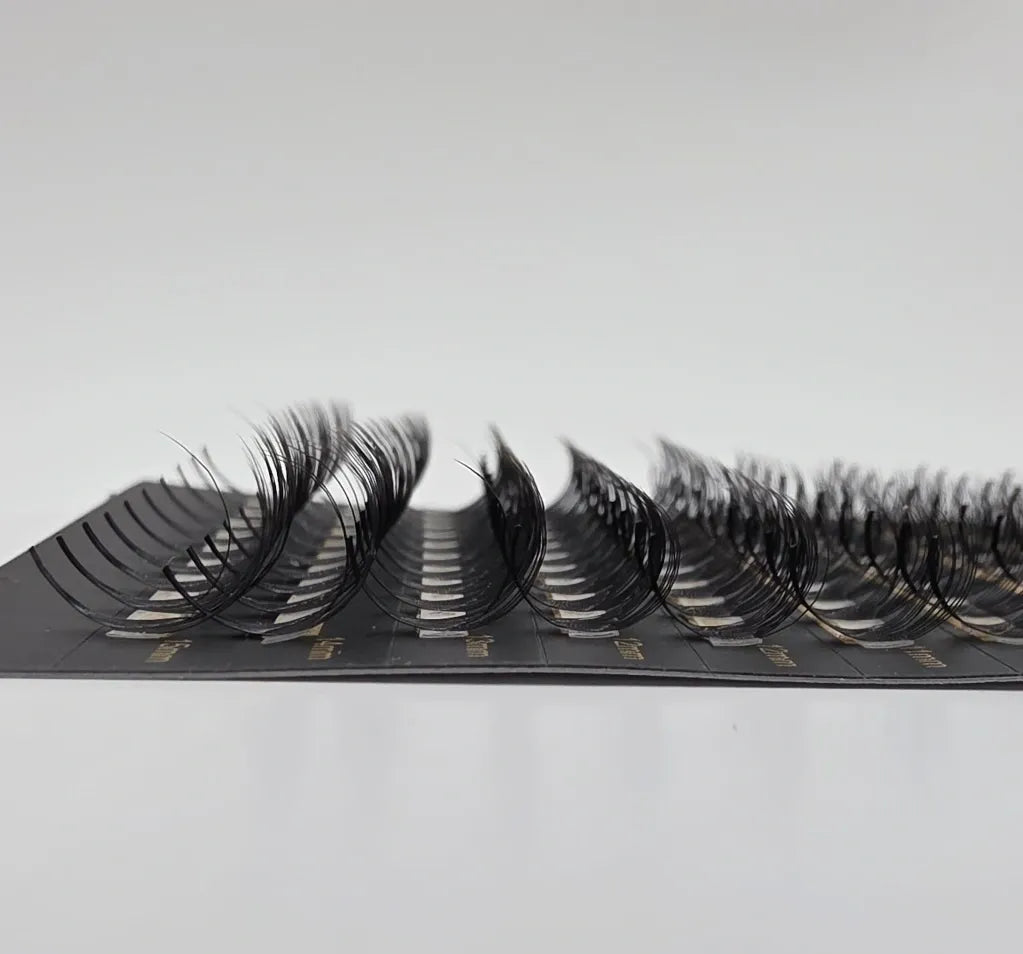 14D Premade Fans - Reign