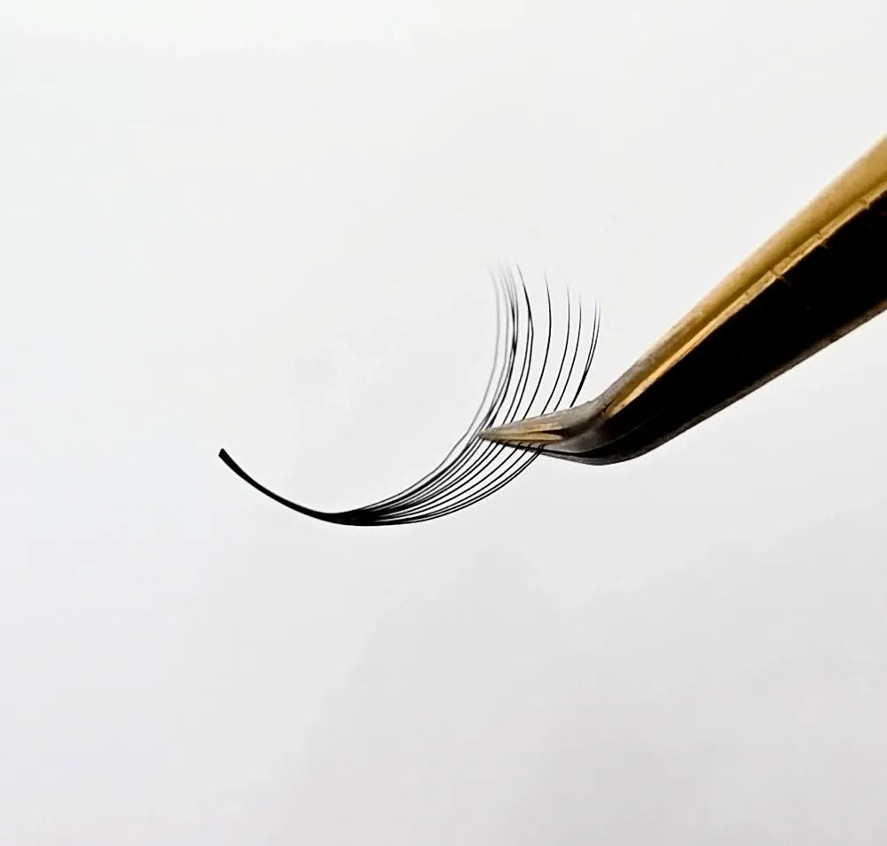 12D Premade Fans - Vortex